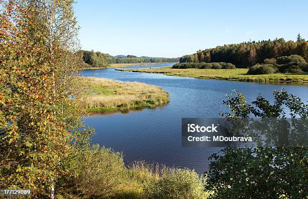 Lipno 湖 - リンゴの木のストックフォトや画像を多数ご用意 - リンゴの木, 湖, チェコ共和国