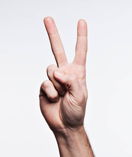 istock Number two on American sign Language Alphabet 177129258
