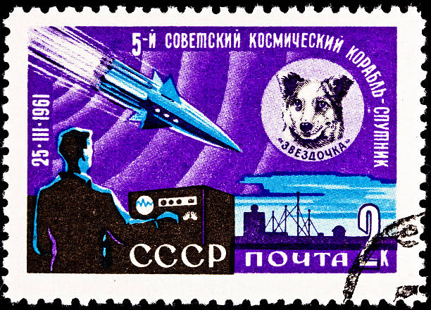 Space Dog Chernushka Sputnik 9 Rocket "USSR- CIRCA 1961:  A stamp printed in the USSR commemorates the launching of the space dog Chernushka aboard Sputnik 9, circa 1961." russian culture audio stock pictures, royalty-free photos & images