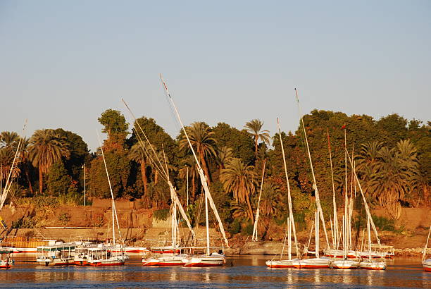 istock Traditional fellucas at Aswan Egypt 177129452