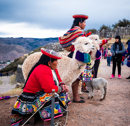Cusco, Peru - October 13, 2018: women in colorful national clothing with lamas in fancy decorations on the background of Sacsayhuaman landscape with tourists