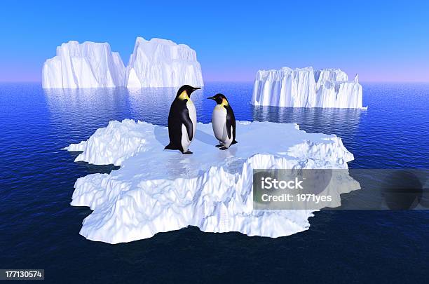 Animals In The Sea Stock Photo - Download Image Now - Animal, Animal Wildlife, Bird