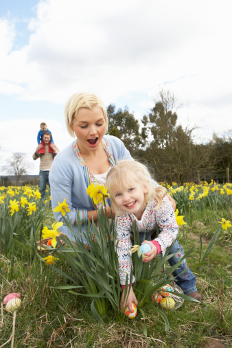 Family On Easter Egg Hunt In Daffodil Field Collecting Colourful Eggs