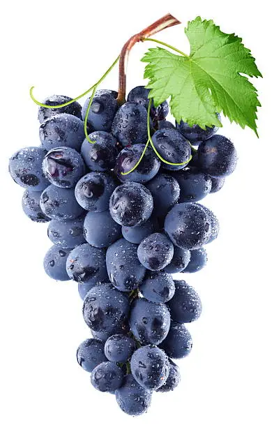 Photo of Bundle of blue grapes with a leaf against white background