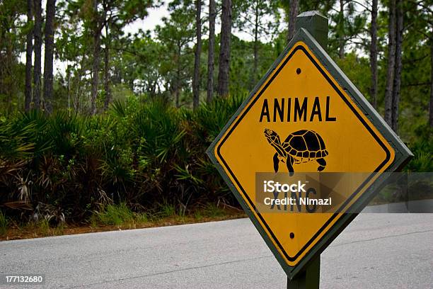 動物横断標識 - 動物横断標識のストックフォトや画像を多数ご用意 - 動物横断標識, ノコギリヤシ, パルメット