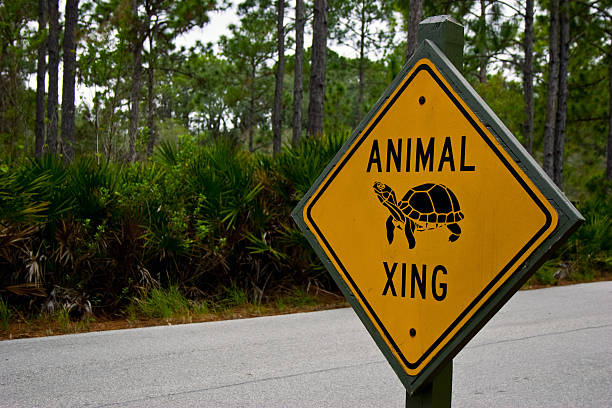 istock Animal Crossing Sign 177132680