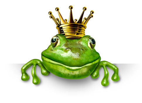 Frog prince with small gold crown holding a blank sign representing the fairy tale concept of change and transformation from an amphibian to royalty.