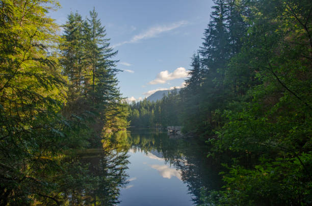 istock View of Rice Lake through the trees 1771332608