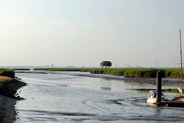 Birdwatching observatory at the Dollard sea