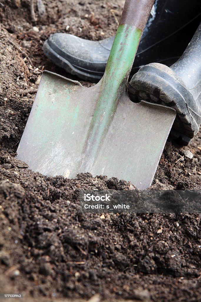 Gardening. Digging soil with a spade & rubber boots. Animal Dung Stock Photo