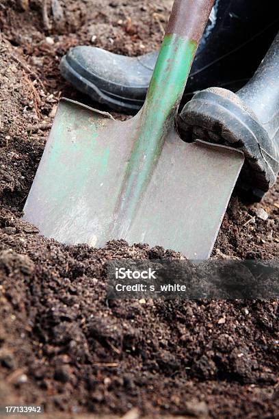 Gardening Stock Photo - Download Image Now - Animal Dung, Gardening Equipment, Hole