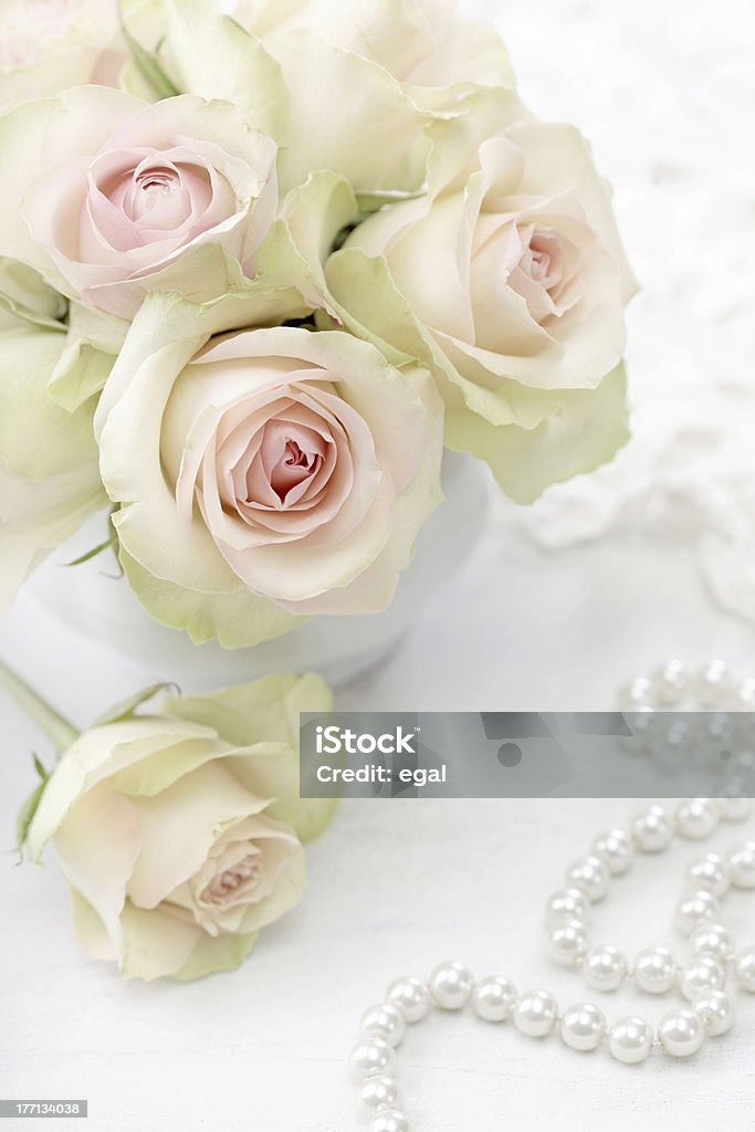 White roses White roses  in a vase on white background Pearl Jewelry Stock Photo