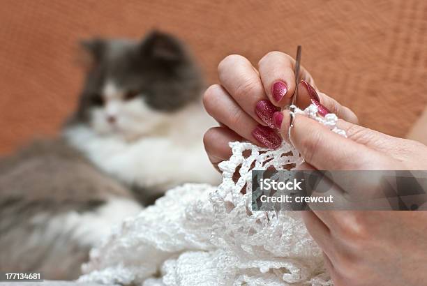 Home Hobby Stock Photo - Download Image Now - Knitting, Pets, Animal