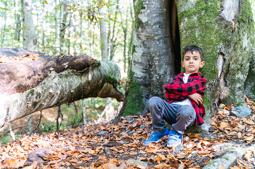 The boy sits leaning on a tree in Bolu Yedigöller National Park. During the autumn season, he can stay in touch with nature among the deciduous trees. Taken in daylight with a full frame camera.
