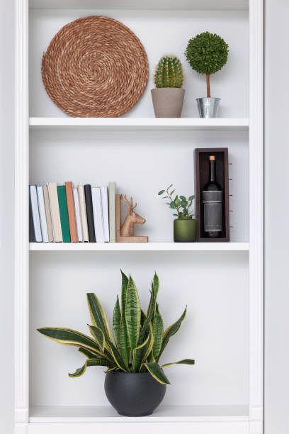 istock Shelves with houseplants and different decor indoors. Interior design 1771353146