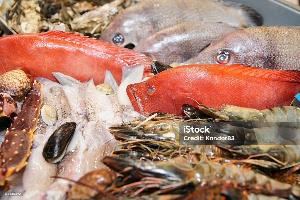 Great variety of fish and seafood Great variety of fish and seafood on fish market display Shrimp - Animal Stock Photo