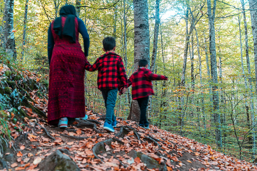 Mother and sons are having a good time together in Yedigöller National Park, Bolu. During the autumn season, they can stay in touch with nature among the deciduous trees. They wore the same style of clothing. Taken in daylight with a full frame camera.