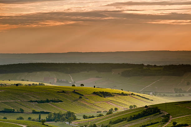 istock Sancerre, Cher, Centre, France. 177135859