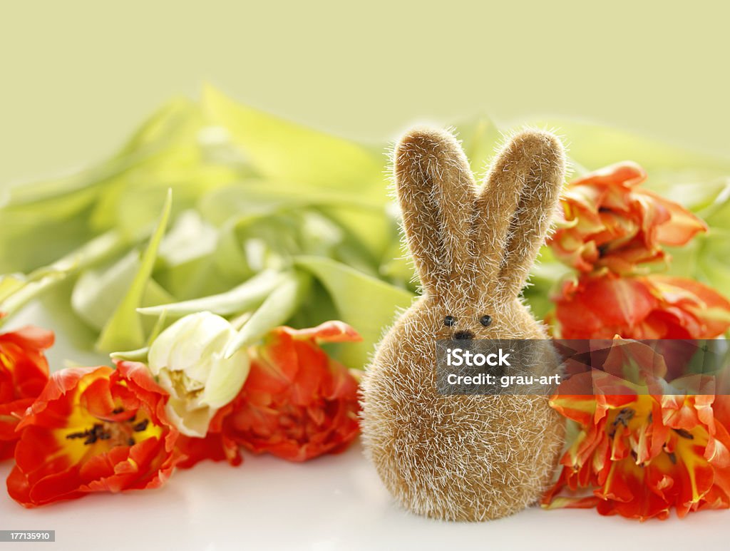 Пасхальный кролик - Стоковые фото Весна роялти-фри