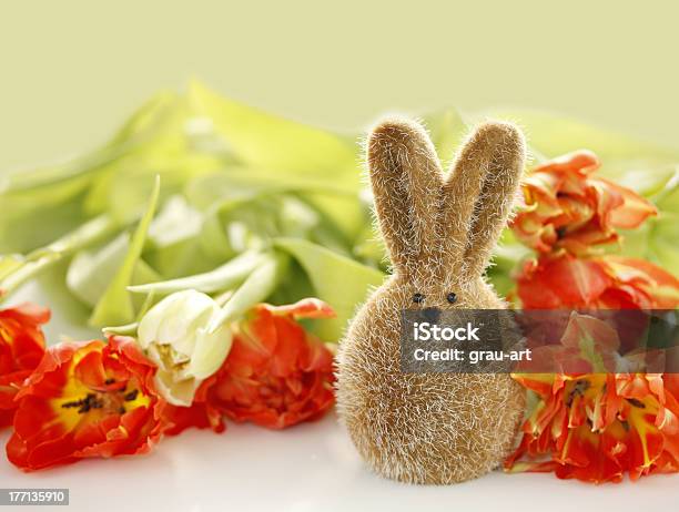 Пасхальный Кролик — стоковые фотографии и другие картинки Весна - Весна, Выборочная фокусировка, Горизонтальный