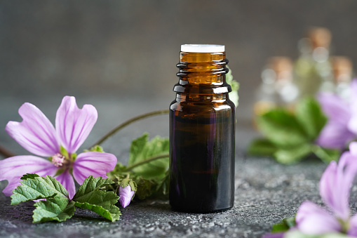A dark bottle of mallow essential oil with Malva sylvestris flowers