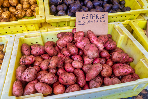 Asterix red potatoes at the farmer's market