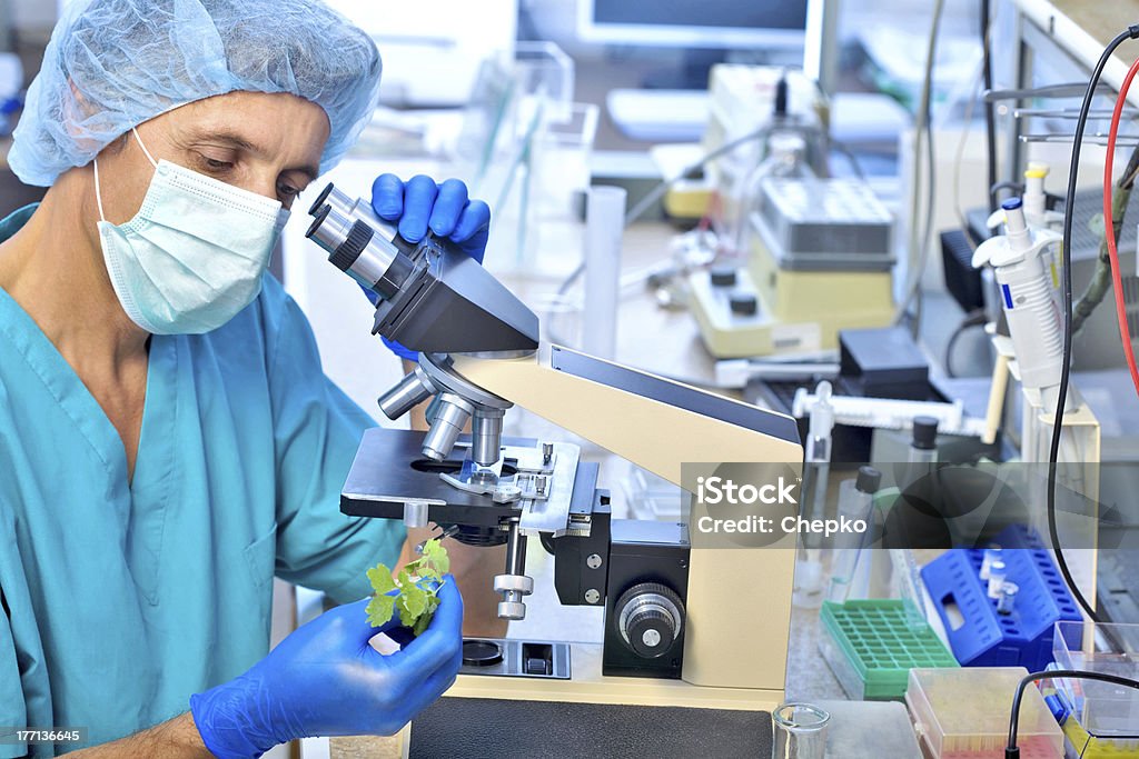 diseased plant Biochemistry Stock Photo