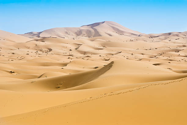 사하라 사막 언덕에서 - landscape desert wave pattern erg chebbi dunes 뉴스 사진 이미지