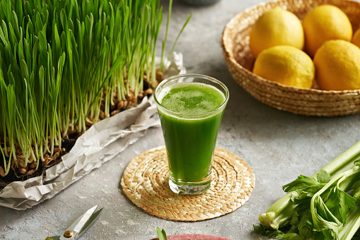 A glass of barley grass juice with freshly grown barleygrass blades on a table