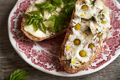 Fresh common daisy and goutweed on slices of bread