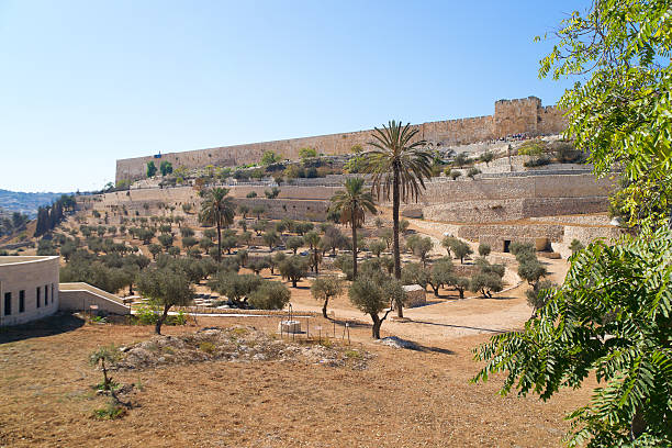 istock Jerusalem Old city, view from Mount of Olives 177137498