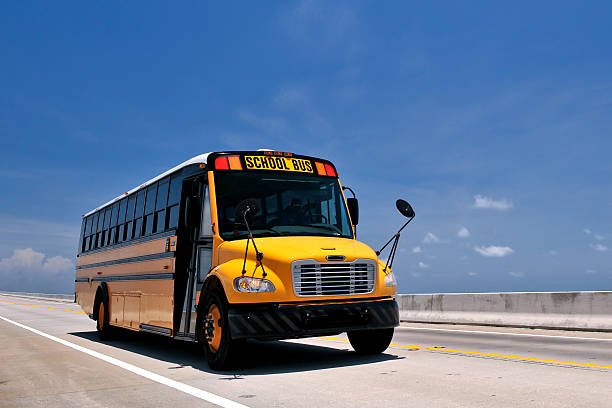 istock school bus traveling on florida overseas highway 177137919