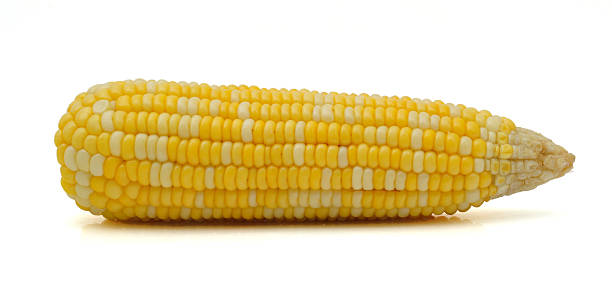 pannocchia - corn on the cob corn cooked boiled foto e immagini stock