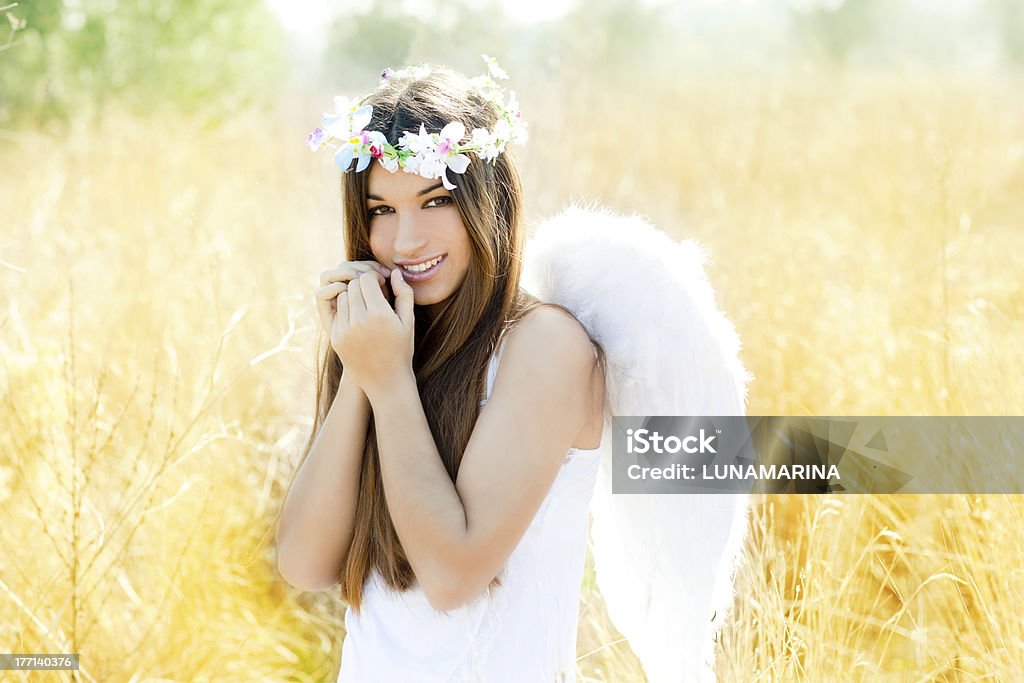 Angel no golden campo com penas asas brancas - Foto de stock de Anjo royalty-free