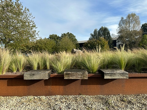 Seating area and raised garden bed with feather grass. Mixing the natural elements of wood and Corten steel. Landscape park in Doetinchem (Netherlands). Landscape design by Nico Wissing studio.
