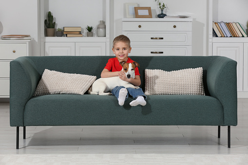 Little boy with his cute dog on sofa at home. Adorable pet