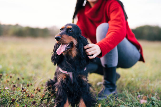 Beautiful young woman in red sweater playing with a dog in public park.