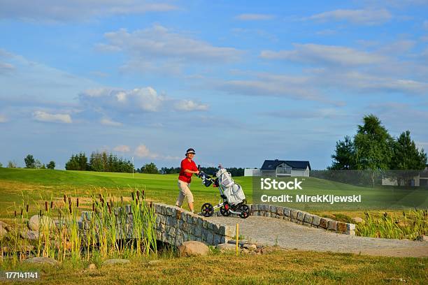 Golf Kobieta Golfista - zdjęcia stockowe i więcej obrazów Czerwony - Czerwony, Dorosły, Drzewo