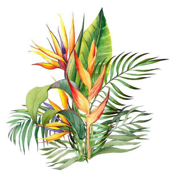 istock Tropical bouquet with heliconia, strelitzia flowers and palm leaves. 1771418541