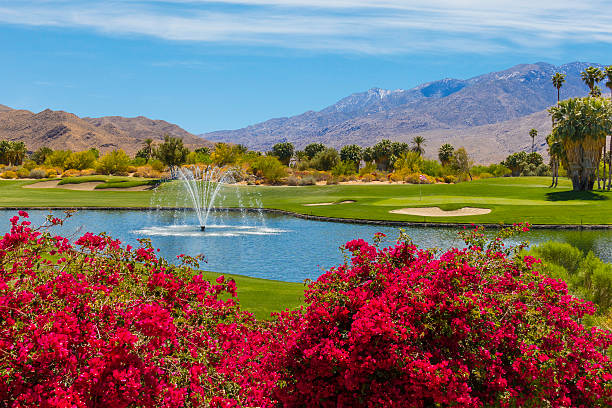 поле для гольфа, расположенных в палм-спрингс, штат калифорния - lawn desert golf california стоковые фото и изображения