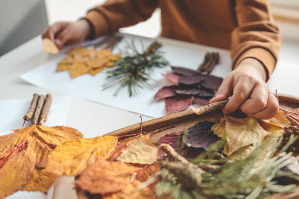 istock Children's creativity, child's study of natural materials, application top view 1771441062