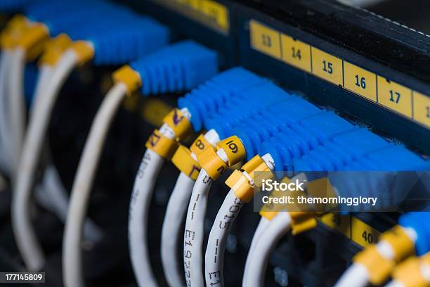 Foto de Switch De Rede Utp Cabos De Ethernet E e mais fotos de stock de Bloco de ligação - Bloco de ligação, Cabo de conexão de rede, Computador