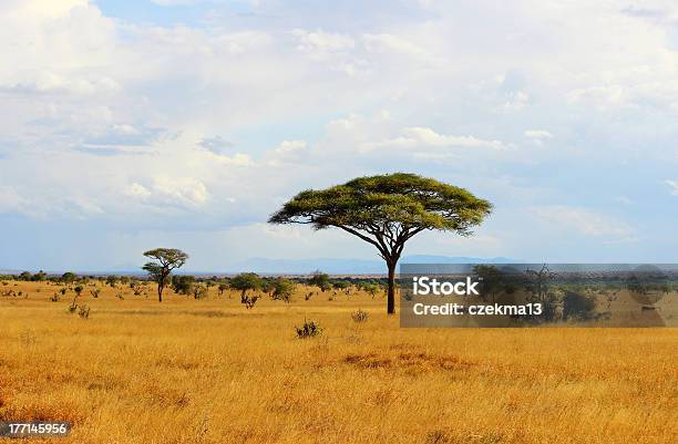 African Savannah In Kenya Stock Photo - Download Image Now - Savannah, Plain, Africa