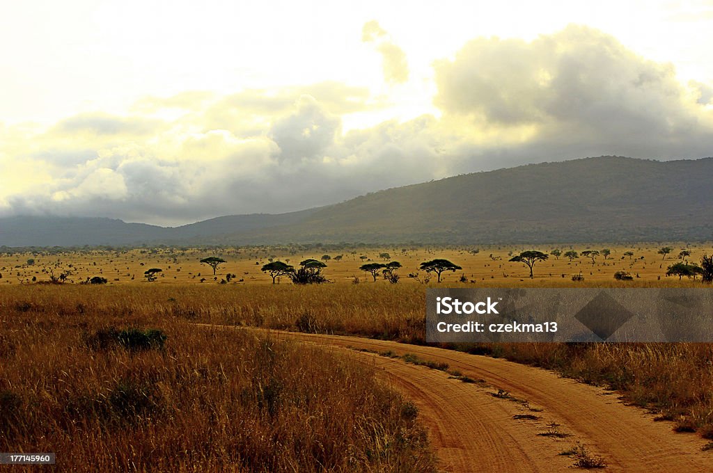 Nuvole minacciose in Africa - Foto stock royalty-free di Pianura