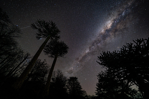 Milky way in a starred night at La Araucania region, chilean Patagonia