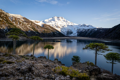 Tolhuaca volcano reflection on Blanca lake in La Araucania region, chilean Patagonia