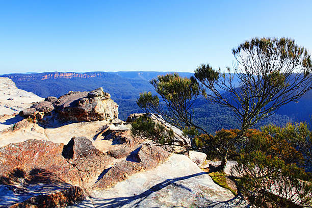 istock View from Flat Rock Kings Tableland Blue Mountains National Park 177147407