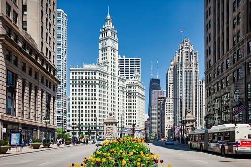 Bus stands at a bus stop on Michigan Avenue in downtown Chicago,USA on a sunny day.