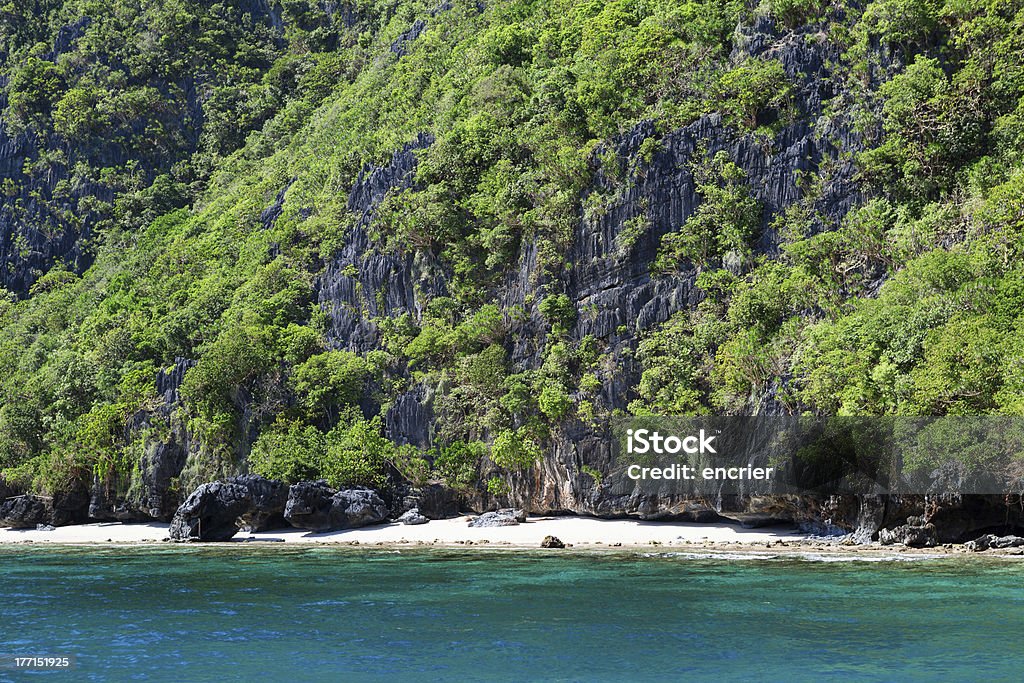 Landschaft mit rocky island nahe der Inselgruppe Palawan - Lizenzfrei Baum Stock-Foto