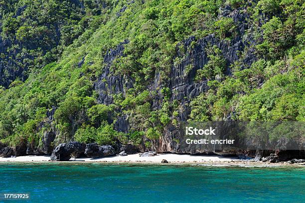 Landschaft Mit Rocky Island Nahe Der Inselgruppe Palawan Stockfoto und mehr Bilder von Baum